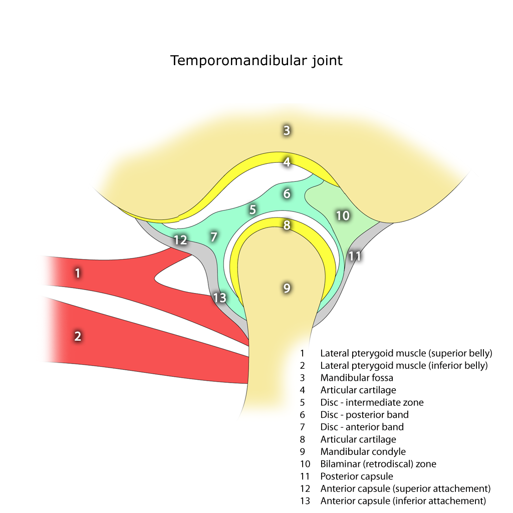 TMJ Disorder Treatment